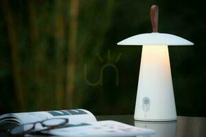 Außenstehleuchte Lucide LA Donna Weiß Aluminium LED 2W 27500/02/31 small 2