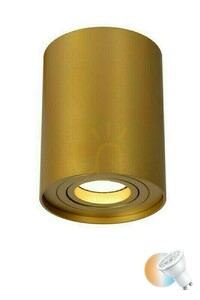 Downlight Lucide TUBE Gold GU10 LED dimmbar Aluminium 22952/01/02 small 0