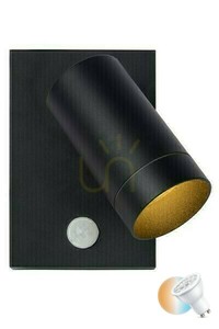 Außenwandleuchte mit Bewegungssensor Lucide TAYLOR 09831/01/30 Schwarz Aluminium GU10 IP54 small 0
