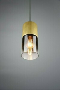 Trio ROBIN Pendelleuchte 310600154 small 2