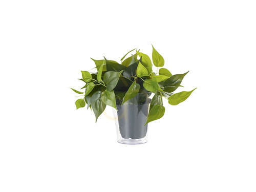 Prüfen Trio PLANT Zubehör 92945
