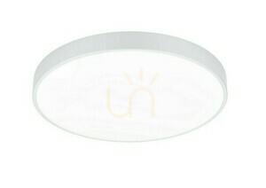 Trio WACO plafond 627415031 small 0