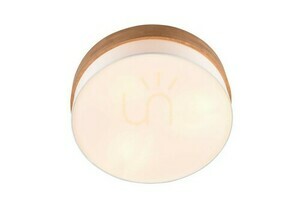 Trio SEASONS Plafond 611500301 small 1