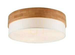 Trio SEASONS Plafond 611500301 small 0
