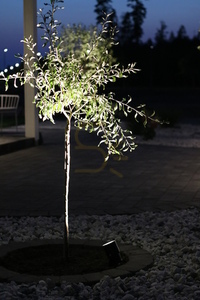 Außenleuchte Markslojd Garden 24 Spot 58 cm 6W schwarz 106932 small 1
