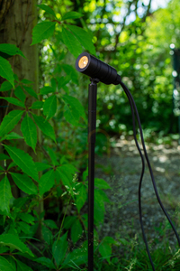 Tischlampe Markslojd Unite 12 Spot 60 cm Schwarz Aluminium 108641 small 1