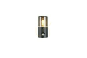 Trio HOOSIC Außenwandleuchte - MOVEMENT SENSOR 222260132 small 2