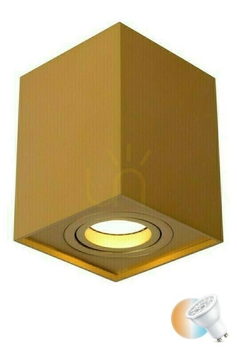 Prüfen Downlight Lucide TUBE Gold GU10 LED dimmbar 22953/01/02