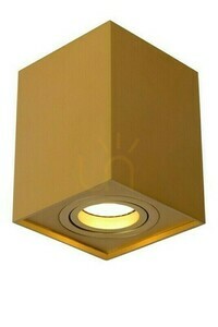 Downlight Lucide TUBE Gold GU10 LED dimmbar 22953/01/02 small 4