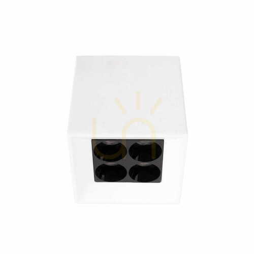Prüfen Plafond Max Light X-Line C0251 LED 5W biały 6,2x6,2 cm