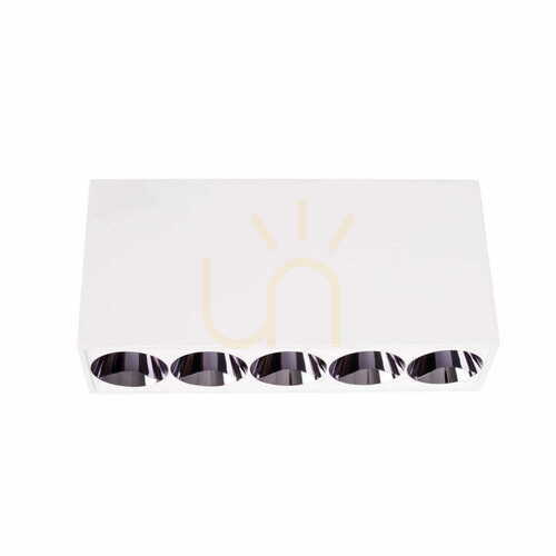 Prüfen Plafond Max Light X-Line C0253 LED 8W biały 5-punktowy 3000K