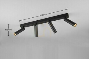 Trio AMBALA plafond 849210432 small 6