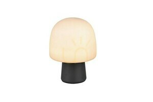 Trio STEEN Tischleuchte 568200132 small 4