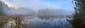 Fototapete zu einem See im Wald im Nebel, Bongripper Pond - Shawnigan - Kanada small 0