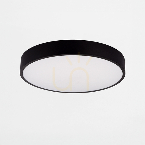 Prüfen Deckenleuchte Zuma Line NADI MS724-R400 LED