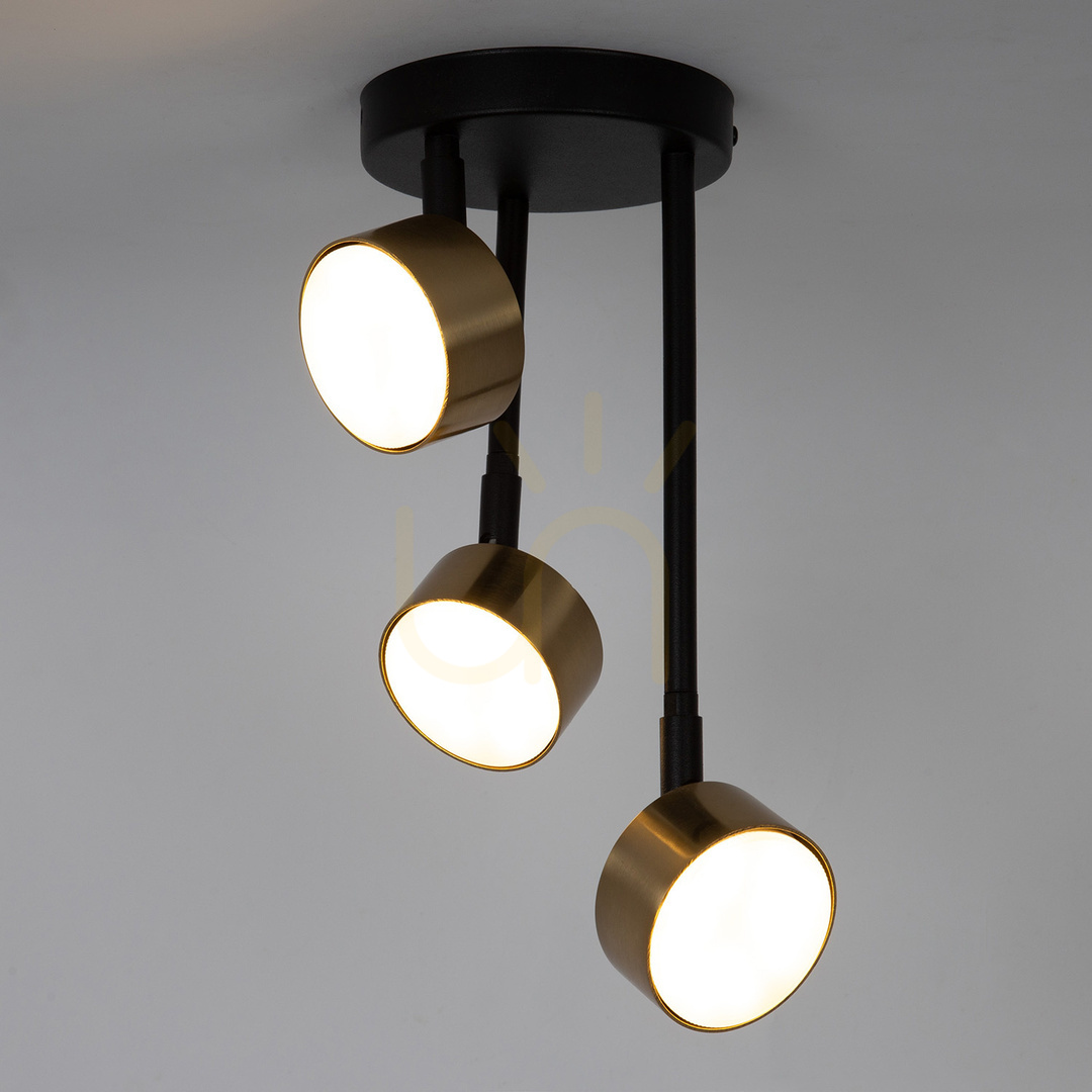 Aussicht Plafond Sigma NEMO 3xGX53 Schwarz Gold gebürstet 41088 Plafond Sigma NEMO 3xGX53 Schwarz Gold gebürstet 41088