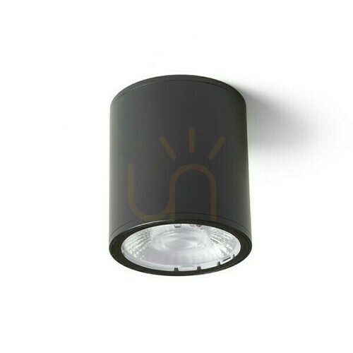 Prüfen Plafonds Outdoor Cornelia 10 Decke Schwarz 230 V Led 15 W Ip65 3000 K