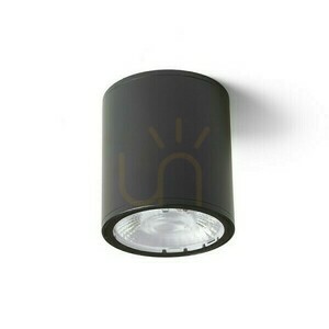 Plafonds Outdoor Cornelia 10 Decke Schwarz 230 V Led 15 W Ip65 3000 K small 2