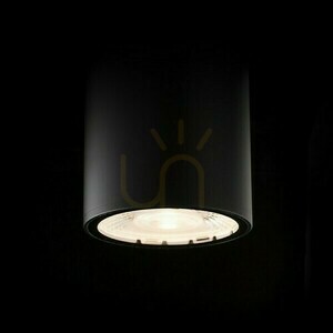 Plafonds Outdoor Cornelia 10 Decke Schwarz 230 V Led 15 W Ip65 3000 K small 3