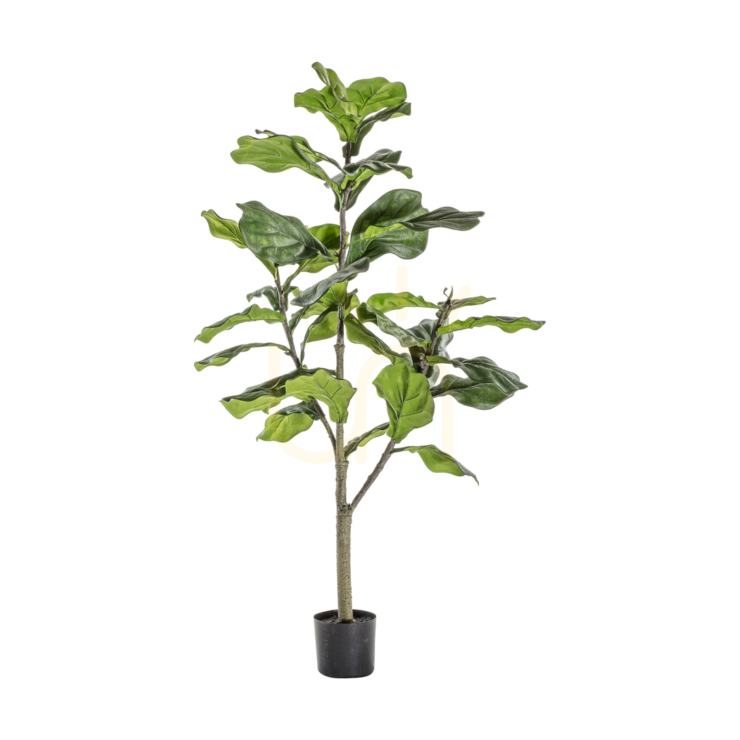 Prüfen Künstlicher Fiddle Tree Gallery Direct 120 cm grün 39 Blätter Polyester Eisen Kunststoff Künstlicher Fiddle Tree Gallery Direct 120 cm grün 39 Blätter Polyester Eisen Kunststoff