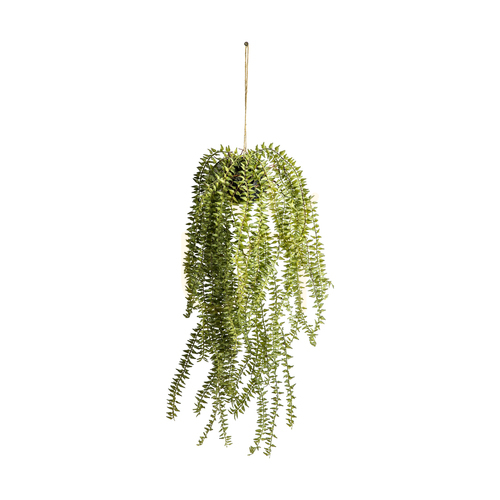 Prüfen Hängender Schachtelhalm-Kaktus Grün 58 cm Eisen Kunststoff Gallery Direct 5059413399480