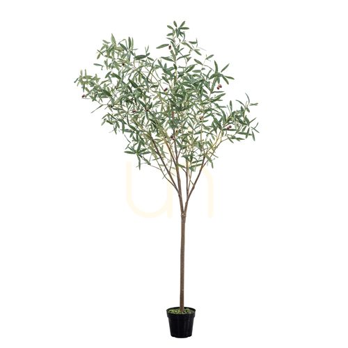 Prüfen Olivenbaum künstlich groß 202 cm grün Gallery Direct 5059413698637