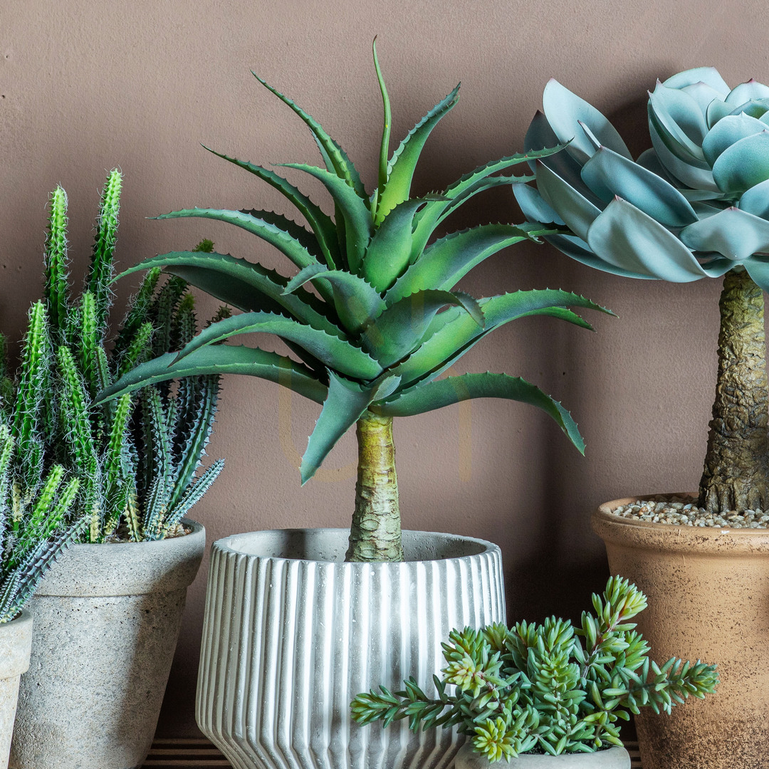 Aussicht Künstliche Agave im Topf Grün 57 cm Gallery Direct 5059413399671 Künstliche Agave im Topf Grün 57 cm Gallery Direct 5059413399671