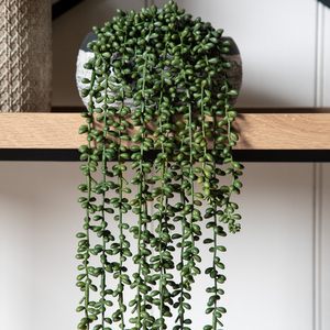 Künstliche Hängepflanze String of Pearls Gallery Direct grün 72 cm small 2
