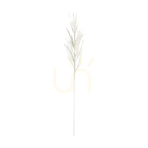 Prüfen Kunstpampas beflockt weiß 79 cm 5 Stück Gallery Direct