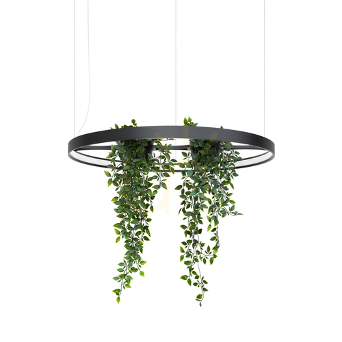 Prüfen RIO BIO 78 schwarz LED 3000K Kronleuchter