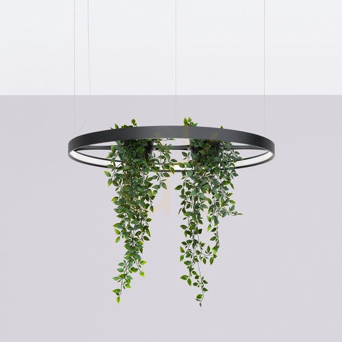 Prüfen RIO BIO 78 schwarz LED 4000K Kronleuchter