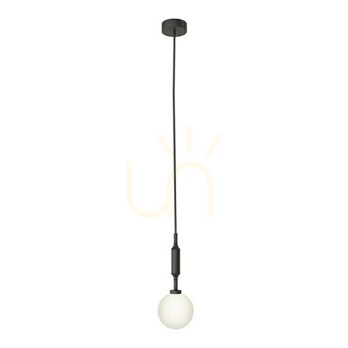 Prüfen Pendelleuchte Ero I Nero A Opalweiß Mattschwarz G9 Metall Glas Open Design Highlights