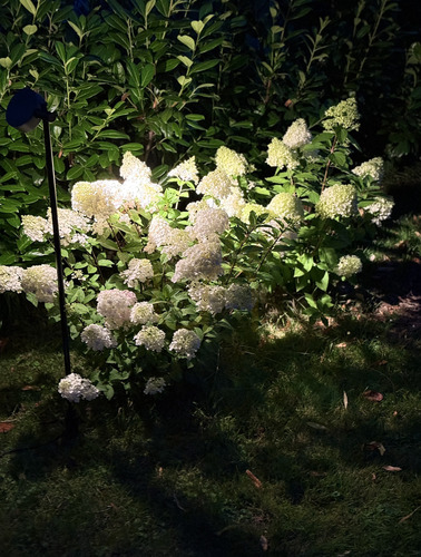 Prüfen V-TAC LED-Gartenleuchte für Blumenbeete, Sträucher und Ziergräser – 2 Funktionen, 6 W, IP65, 100 cm, schwarz, VT-11107-B, 3000 K, 520 lm