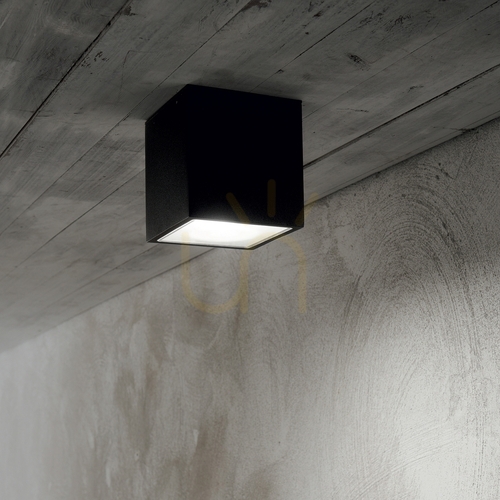 Prüfen Außen-Deckenleuchte Ideallux Techo PL1 rund weiß Ø15 cm GU10 IP54 342689