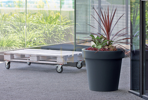 Prüfen Blumentopf Prosperplast Lofly steingrau Ø58 cm 87 L