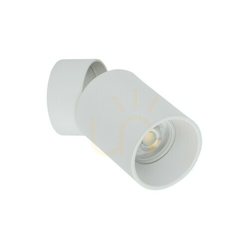 Prüfen Aufsatz-Downlight Weiß Gu 10