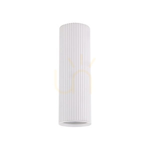 Tune White M small 6
