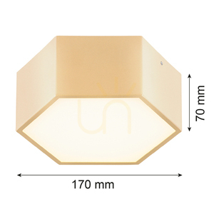 Plafon LED Argon Libero Gold 1150 lm 3000K IP20 8808 small 2