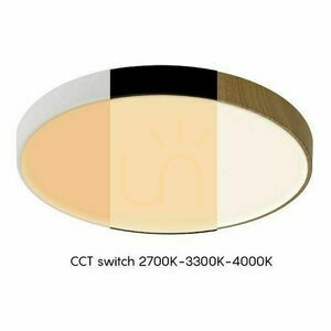Mantra CUMBUCO II 8843 Deckenleuchte small 2