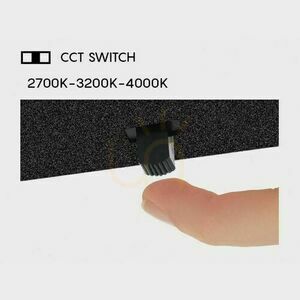 NELSON Wandleuchte 8496 small 2
