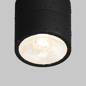 SPIN O310CL-L5GF3K Außenplafonds IP54 Maytoni small 4