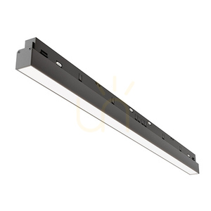 BASIS Schienenleuchte TR030-4-24WTW-DD2-B Maytoni small 1