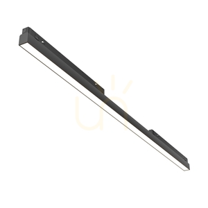 BASIS Schienenleuchte TR030-4-30WTW-DD2-B Maytoni small 1