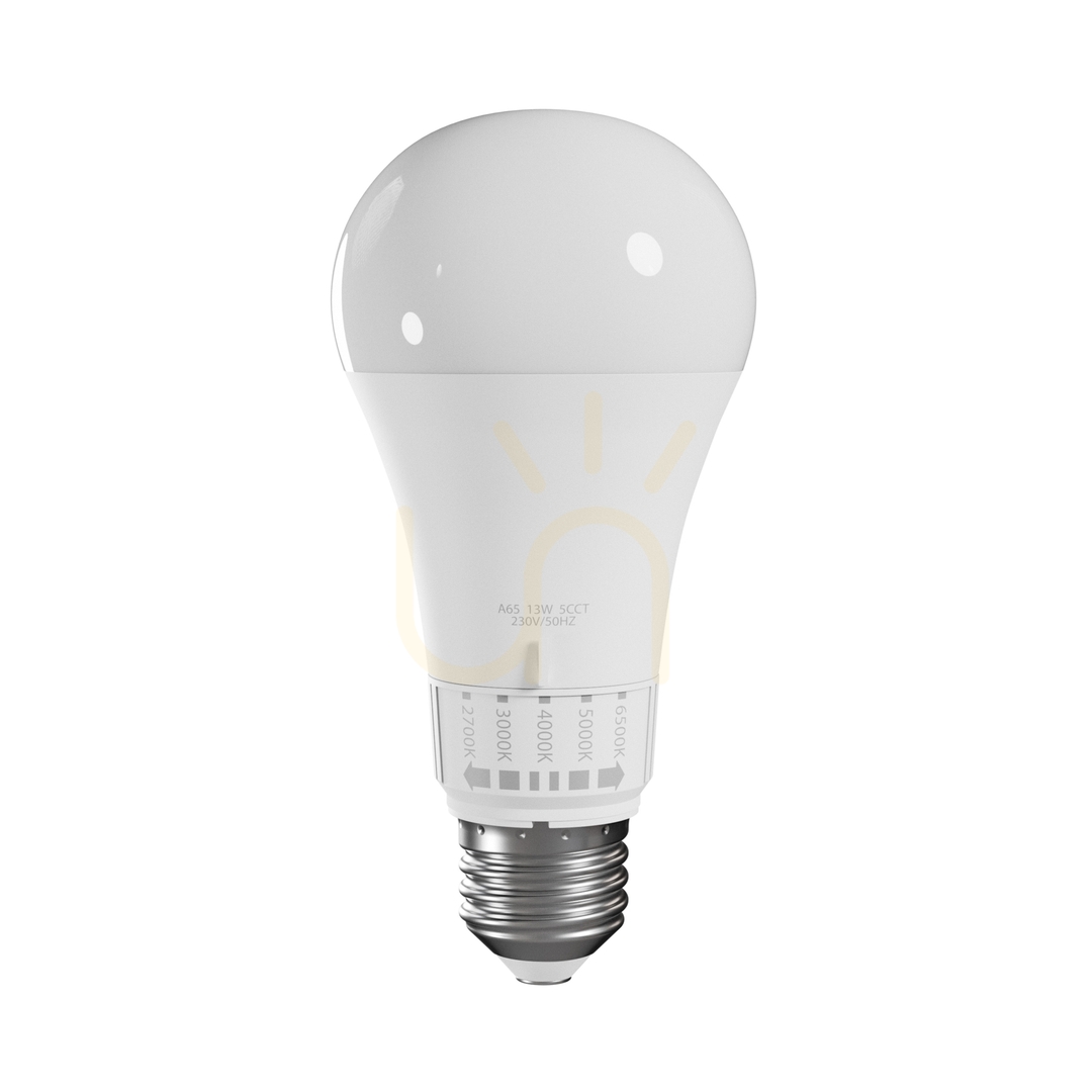 Aussicht Led Gls E27 230 V 13 W 5 Cct Spektrum Led Gls E27 230 V 13 W 5 Cct Spektrum