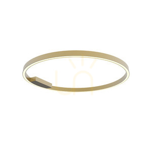 Zambelis 23026 LED-Deckenleuchte Ring Ø80 cm 50W 3000K Gold matt, dimmbar small 0