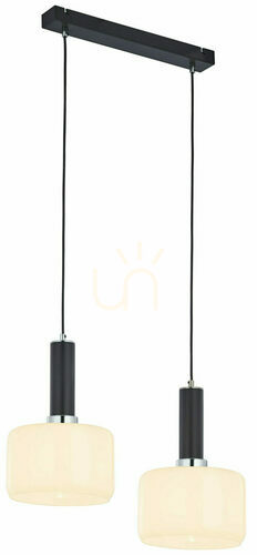 Prüfen VANES Pendelleuchte Chrom 2XE27/15W