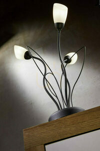 GLORIOSA Schreibtischlampen Schwarz 3xG9/14W small 8