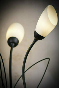 GLORIOSA Schreibtischlampen Schwarz 3xG9/14W small 9
