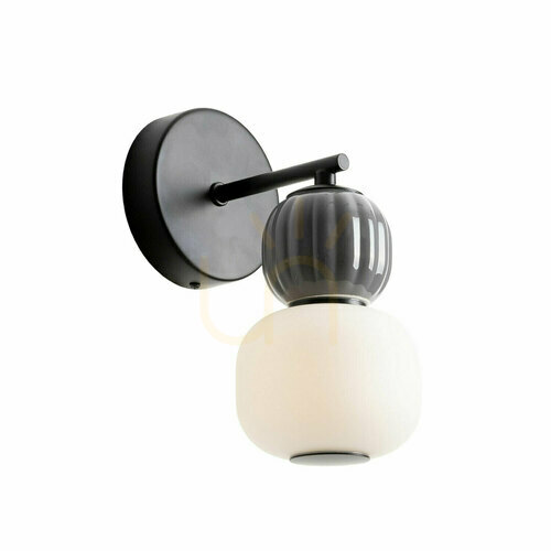 Prüfen Wandleuchte Max Light Modern W0400 schwarz LED 5W 3000K