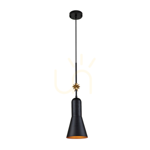Etoile Medium Pendelleuchte - 1 Leuchtmittel - Mattschwarz / Goldfarbene Blütenblätter Elstead 0 Etoile Medium Pendelleuchte - 1 Leuchtmittel - Mattschwarz / Goldfarbene Blütenblätter Elstead small 0